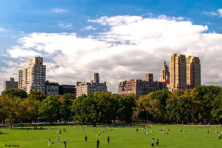 Central Park-1